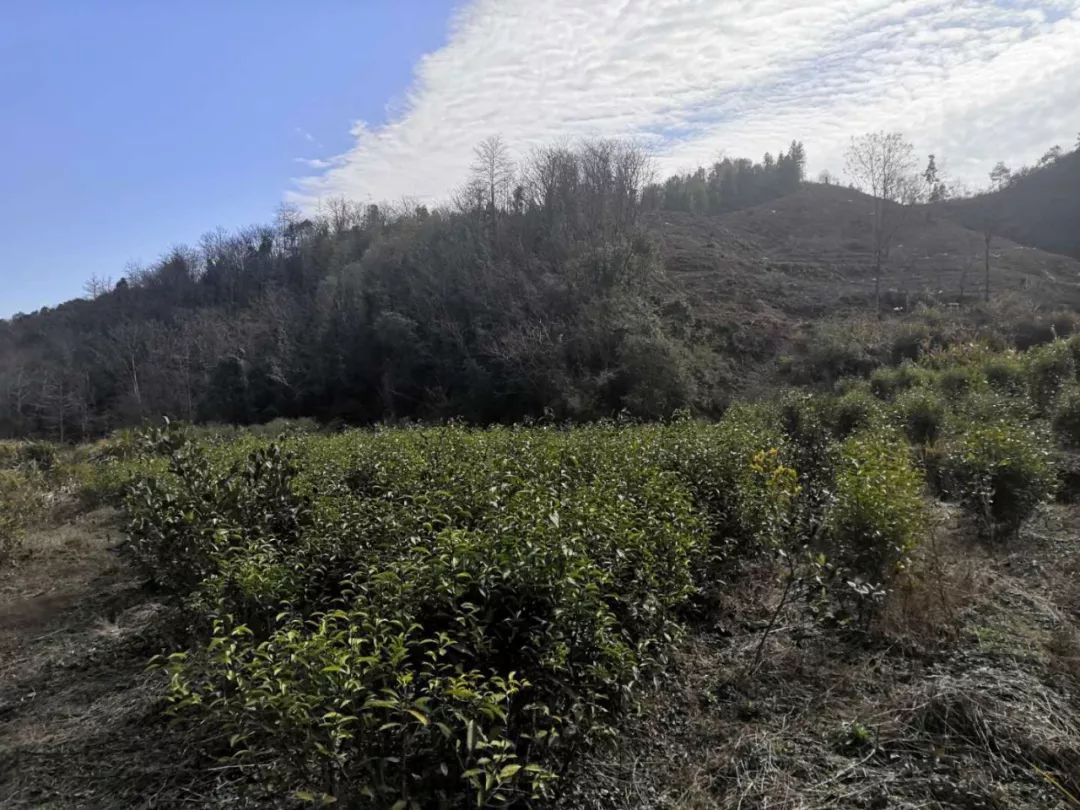 防疫不松懈坚守岗位,防疫不放松