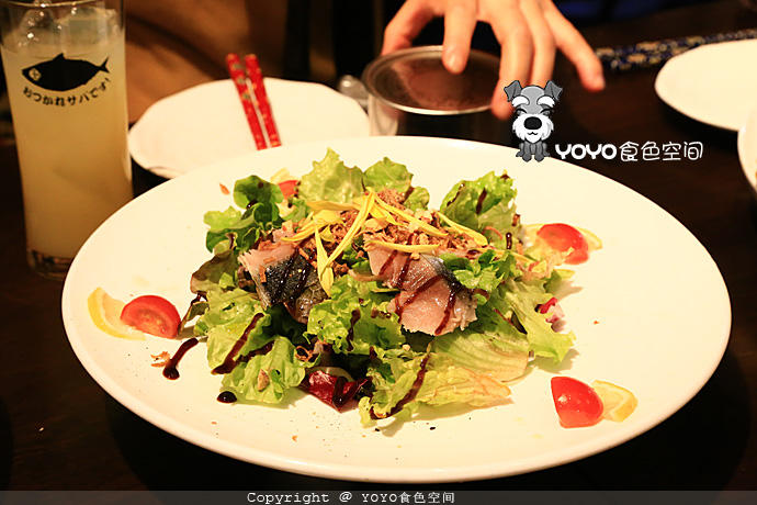 挪威自由行游记,挪威三文鱼远洋