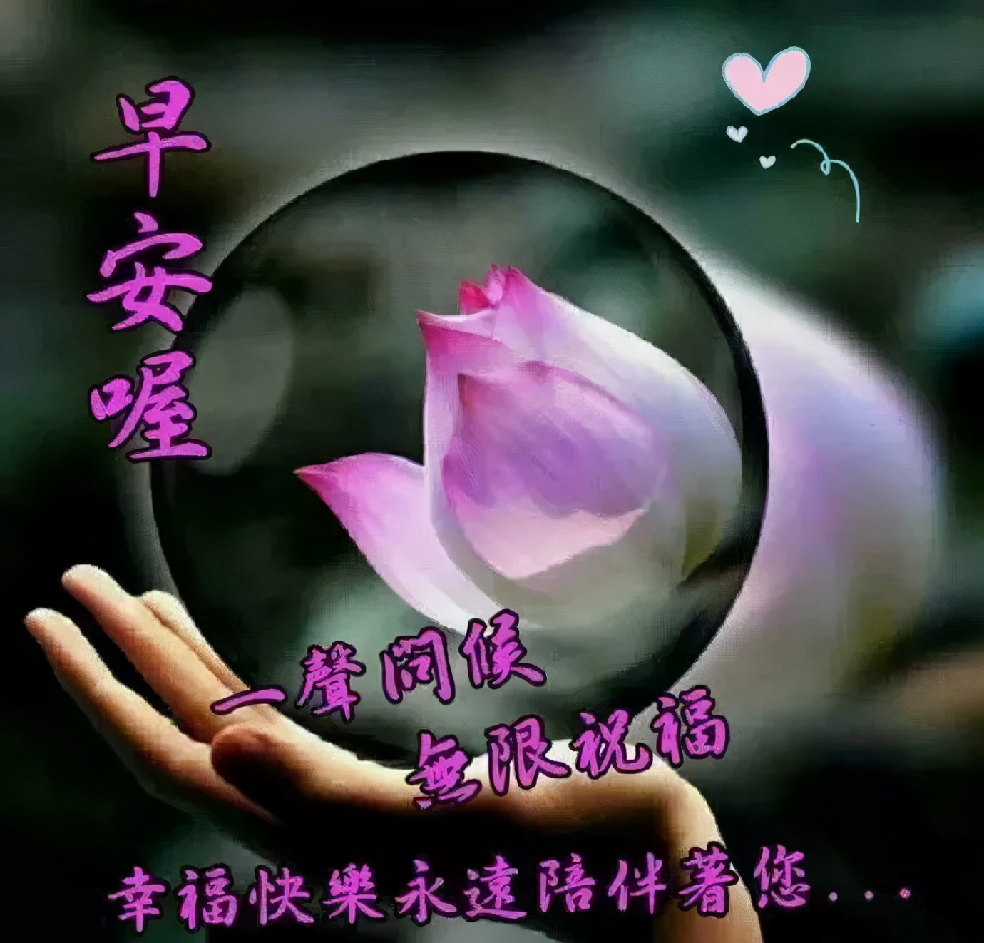 早安佛祖祝福带字美图,最新早安带字祝福图片