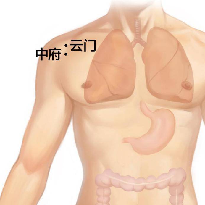 皮肤松弛、毛孔粗大？那是因为你的肺没养好