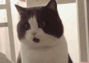 tf官方旗舰店买到假货怎么办,tf官方旗舰店买到假货