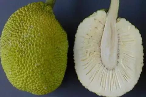 世界上罕见的十大水果,世界上罕见水果10个品种