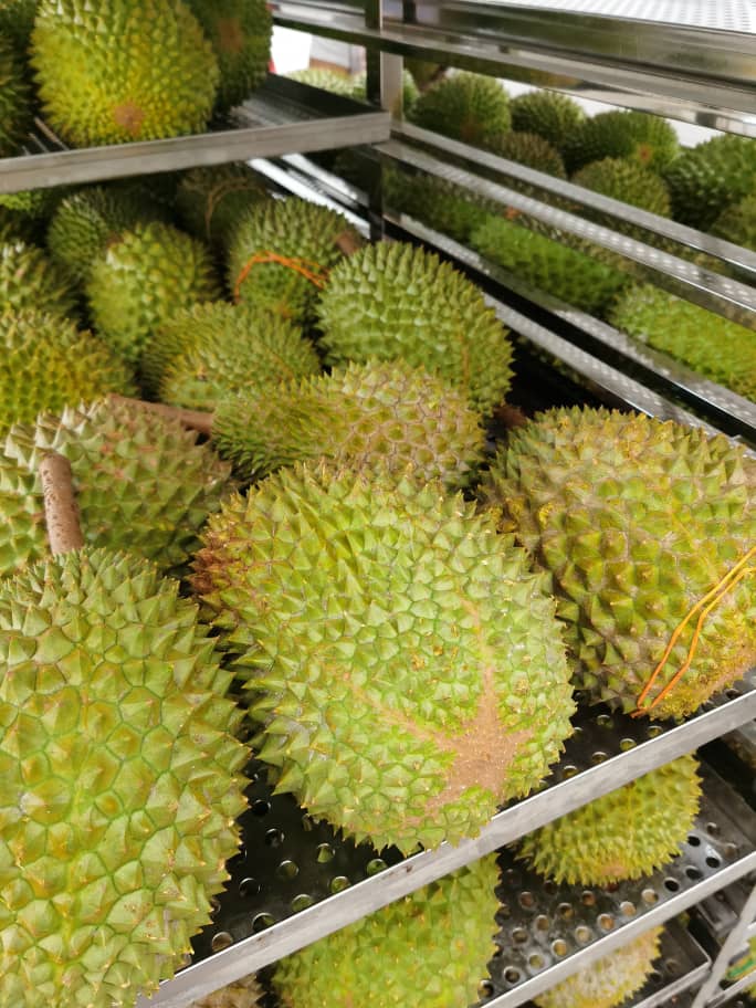 猫山王榴莲的五角星,猫山王五角星榴莲