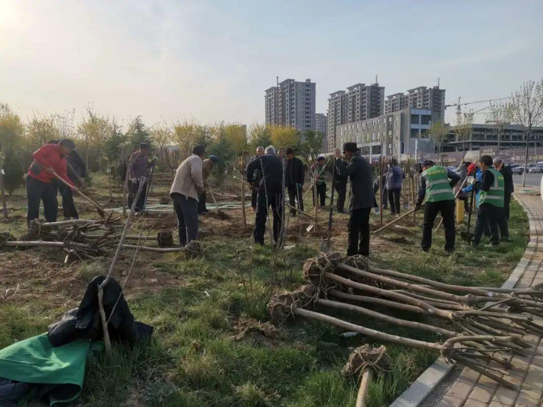 花团锦簇的峰峰是怎样炼成的？是时候告诉你真相了