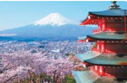 考导游证必备知识点书籍,考导游证要学习哪些内容