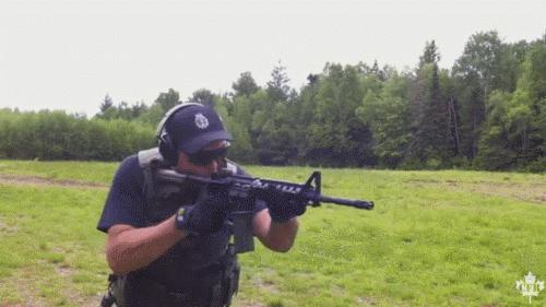 中国山寨武器,中国山寨版步枪