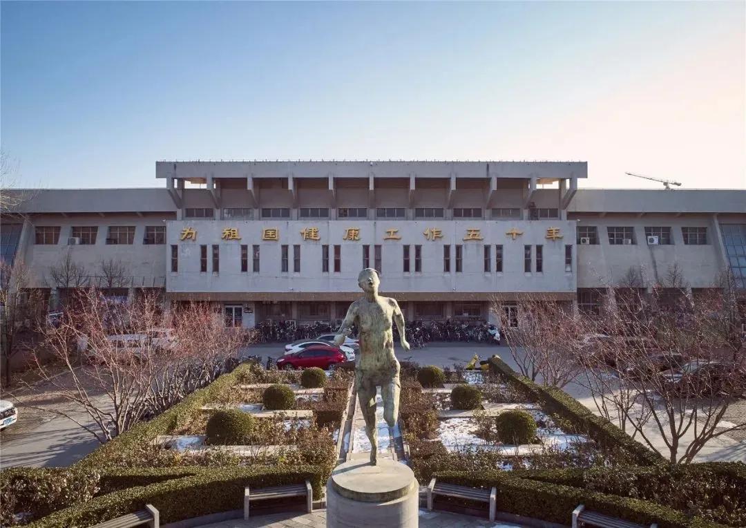 看了冬奥会感受,看了奥运会