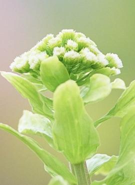 初中毕业后孩子怎么选职业学校,孩子初中毕业如何选择学校