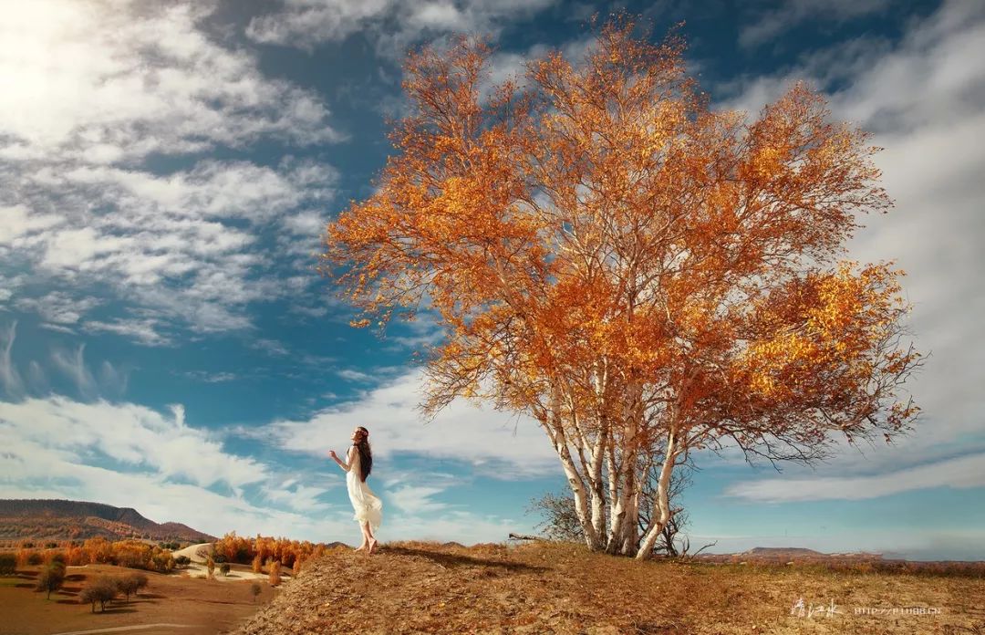 有种感情叫做知己,有一种友情叫知己