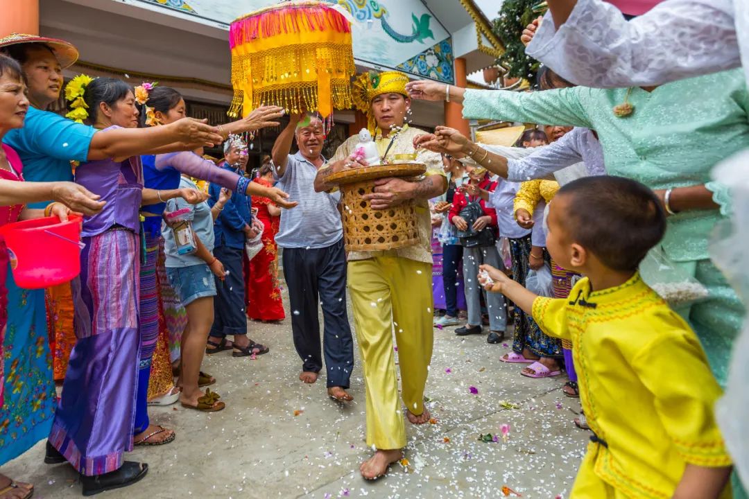 这是一个充满生机的公园怎么说,这是一个充满生机的国度朗诵