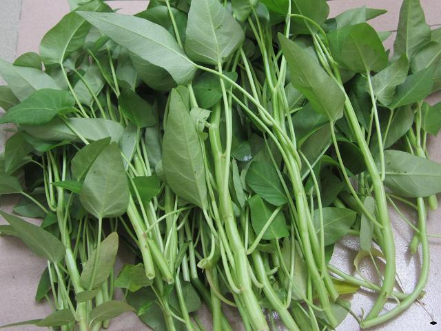 种植空心菜弊端有哪些问题,种植空心菜要注意什么