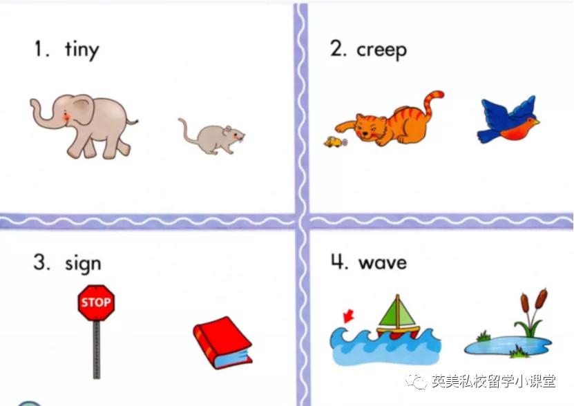 刷爆小红书！北美词汇原版教材《WordlyWise3000》全套，来啦