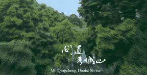 青城后山最好的观山景的民宿,青城山脚下民宿