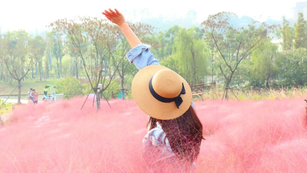 浦口好看的花海,浦口最好的花海