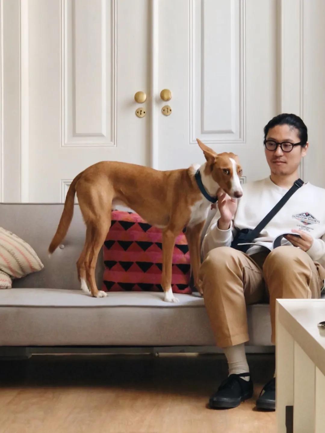 设计师刘硕,设计刘硕