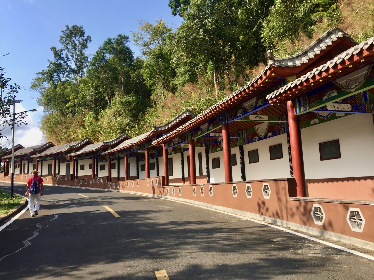 海南候鸟旅行,内陆候鸟自驾海南过冬