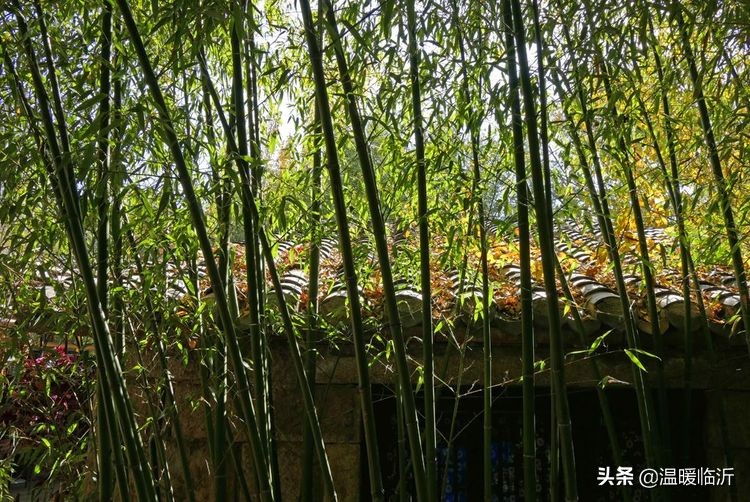 竹泉村景区,最美竹泉村