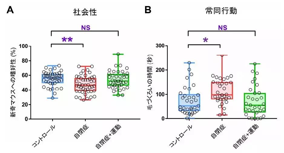 大量的运动可以改善自闭症吗,日本自闭症康复技术