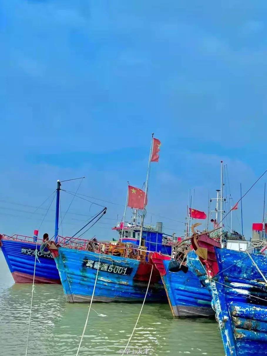 有一种炫富叫辽宁开海,在山东有一种炫富叫开海