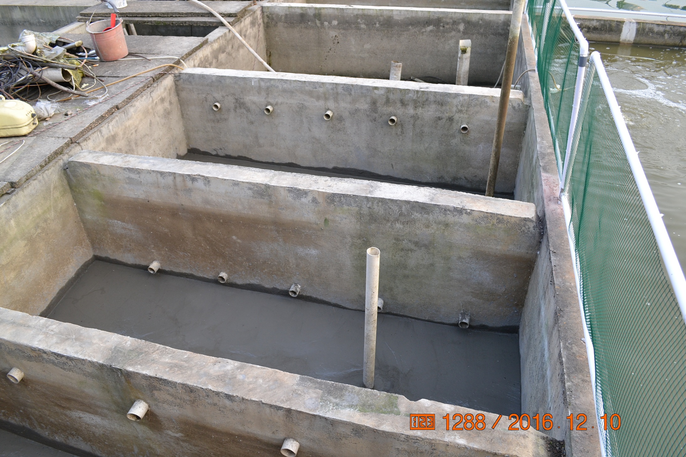 湖南最好的锦鲤养殖基地,湘潭锦鲤养殖