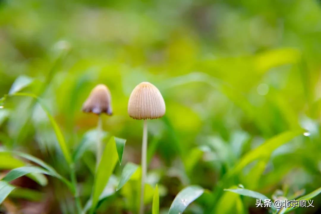 今日立春愿所有美好如期而至,今日立春愿一切美好随春而至