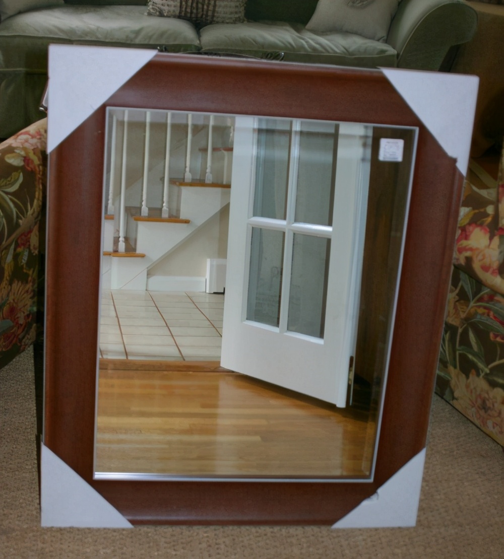 海边捡的贝壳可以做什么手工,贝壳创意手工种花