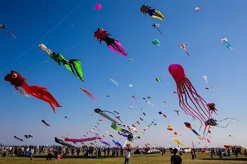 2021年1-12月潍坊经济运行,潍坊市未来发展在山东省的定位