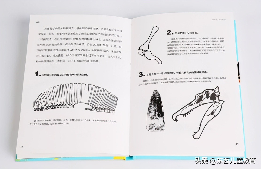 科学家发现喜欢恐龙的娃更聪明,为什么痴迷恐龙的孩子更聪明
