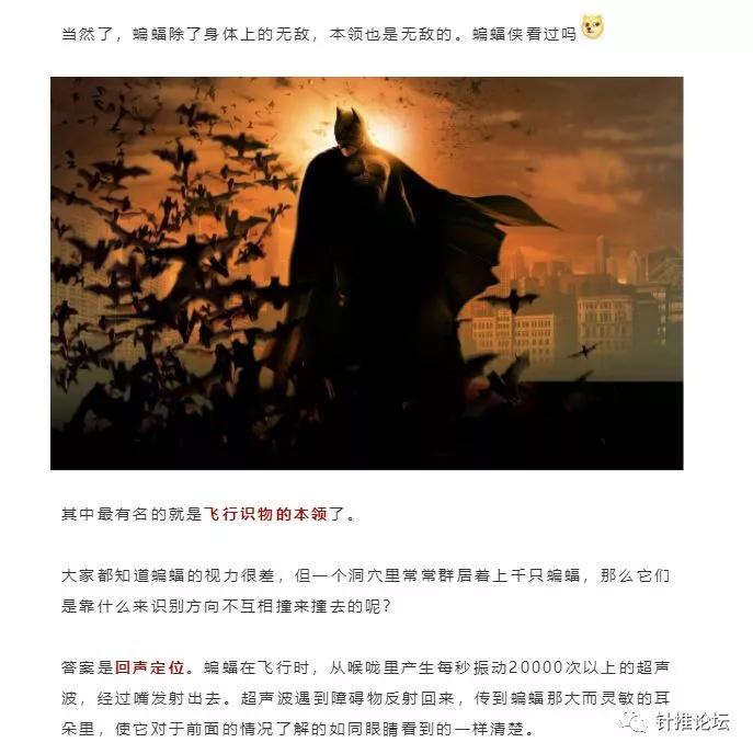 蝙蝠那么多病毒为什么不灭绝它,蝙蝠为什么是奇葩动物呢