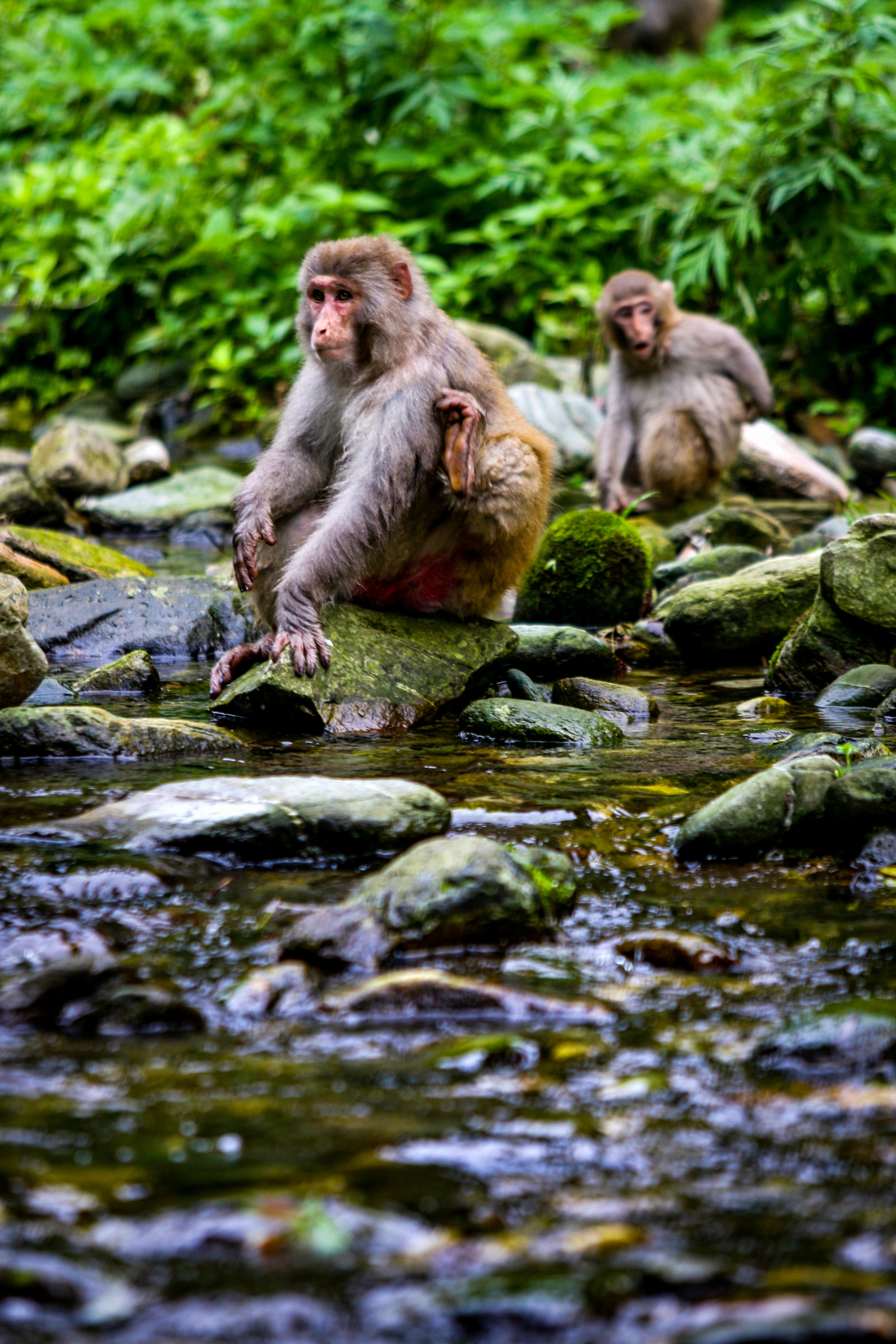 天堂纳木错完整版,天堂圣湖
