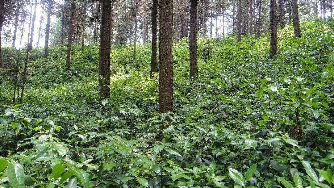 大学最冷门偏冷专业,被冷门专业录取了