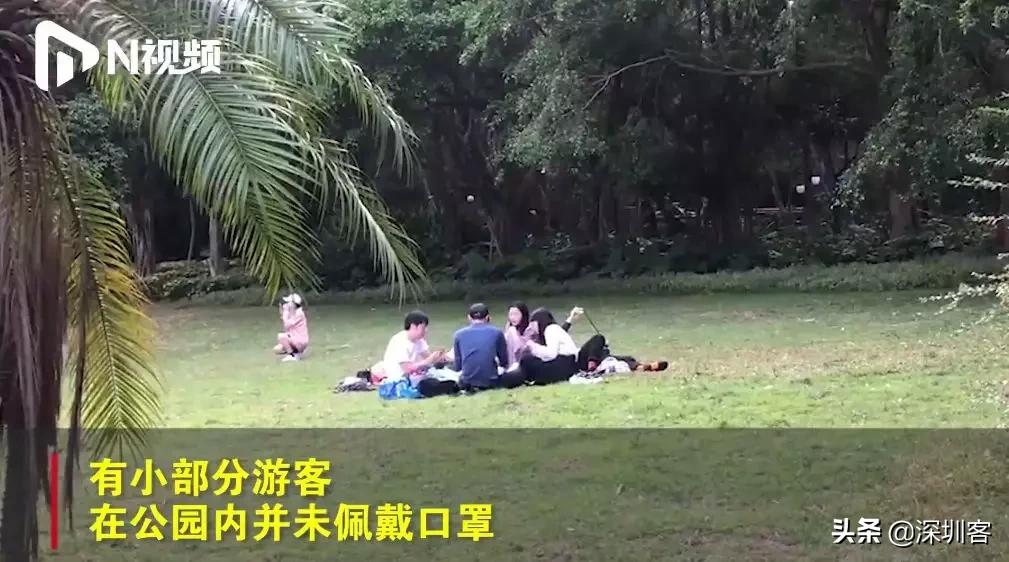 猥琐发育别浪的配音,猥琐发育别浪什么梗