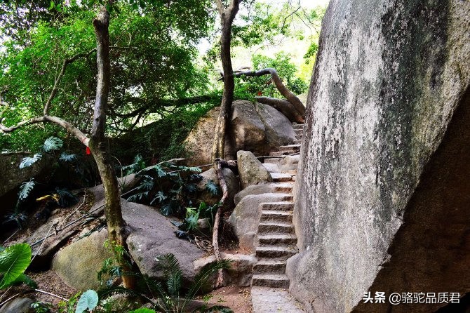 厦门海边之旅,厦门小众旅游体验