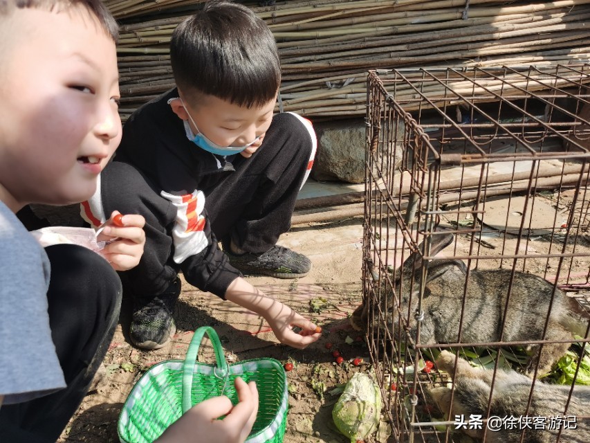 足球小镇有什么项目,足球小镇区游玩攻略