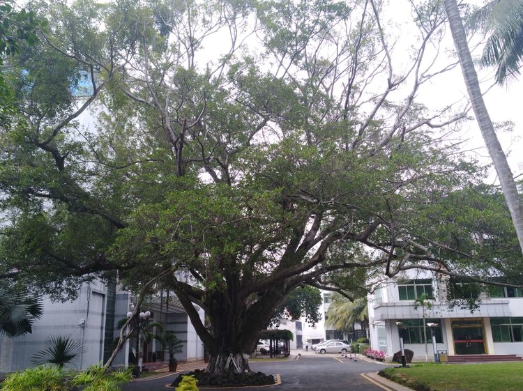 建设海南的美好明天——参加省直单位处级公务员“全面深化改革开放”专题研讨班学习体会