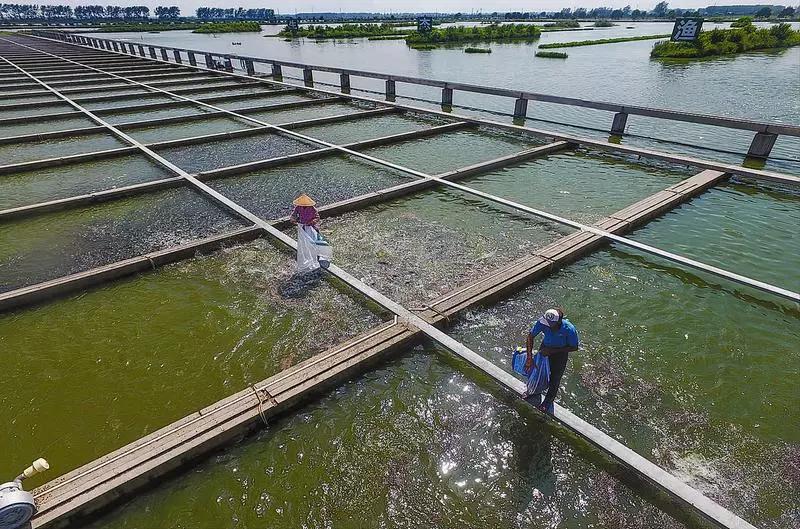 大学最冷门偏冷专业,被冷门专业录取了