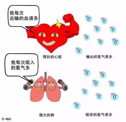 怎么可以让每天精力充沛,怎样让精力充沛不易疲劳