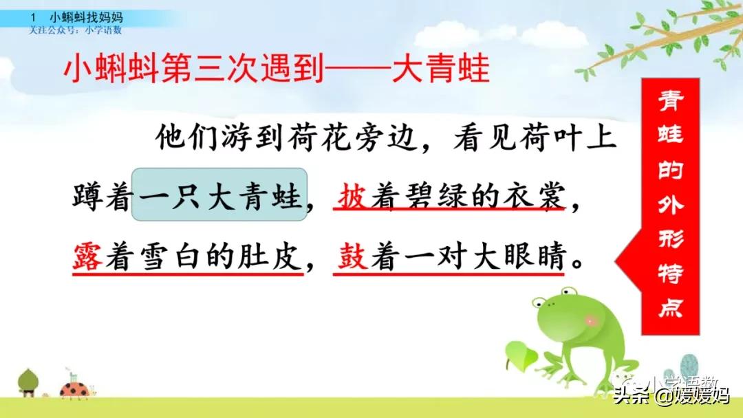 二年级上册小蝌蚪找妈妈听写词语,朗读二年级上册语文小蝌蚪找妈妈