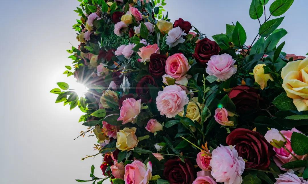 五一不远行的公园,五一不远行南昌游