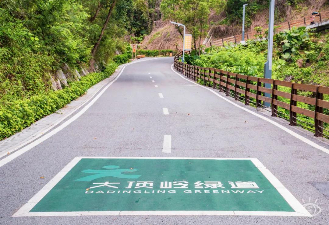 深圳这10条绿道你去过没,深圳十大绿道排行榜