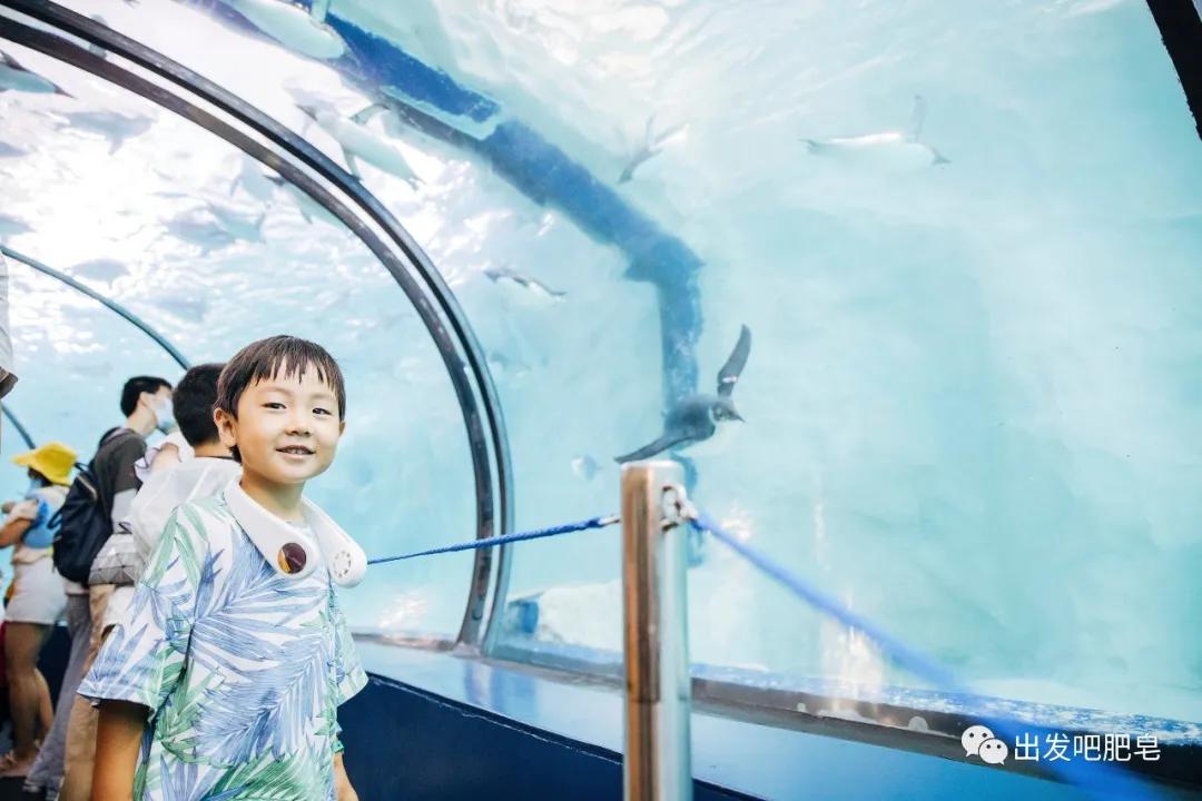 玩转珠海长隆全攻略,玩转珠海长隆海洋王国全攻略