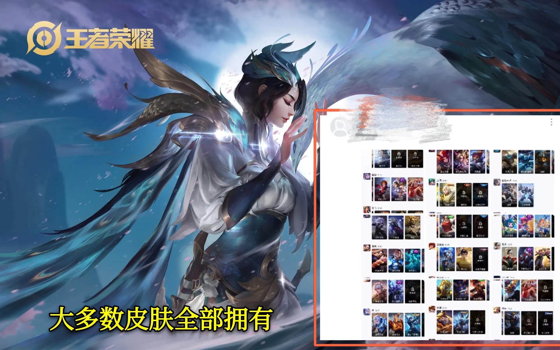 王者荣耀50多块钱获得三款皮肤,王者荣耀223个皮肤出租多少钱合适