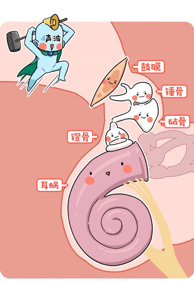 神经性突发性耳聋可以戴耳机吗,经常戴耳机耳朵听力下降怎么办