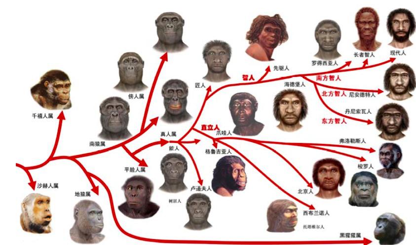 为什么叫炎黄子孙而不是炎黄子孙,我们都是炎黄子孙是什么意思