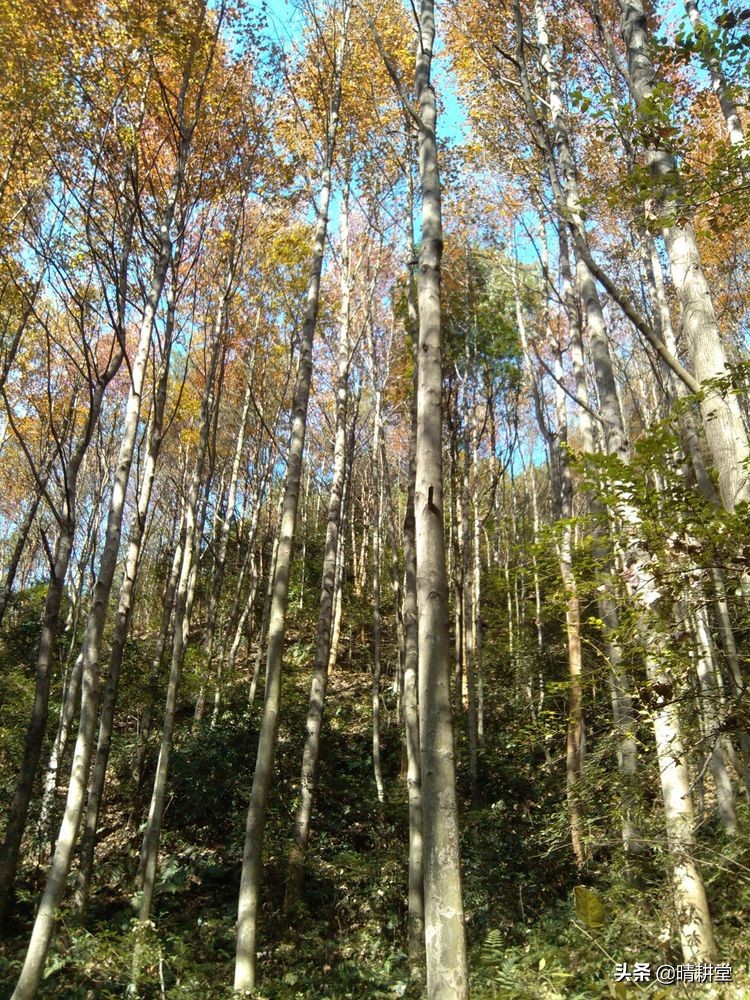 赣州峰山附近一日游自驾游景点,赣州峰山美景