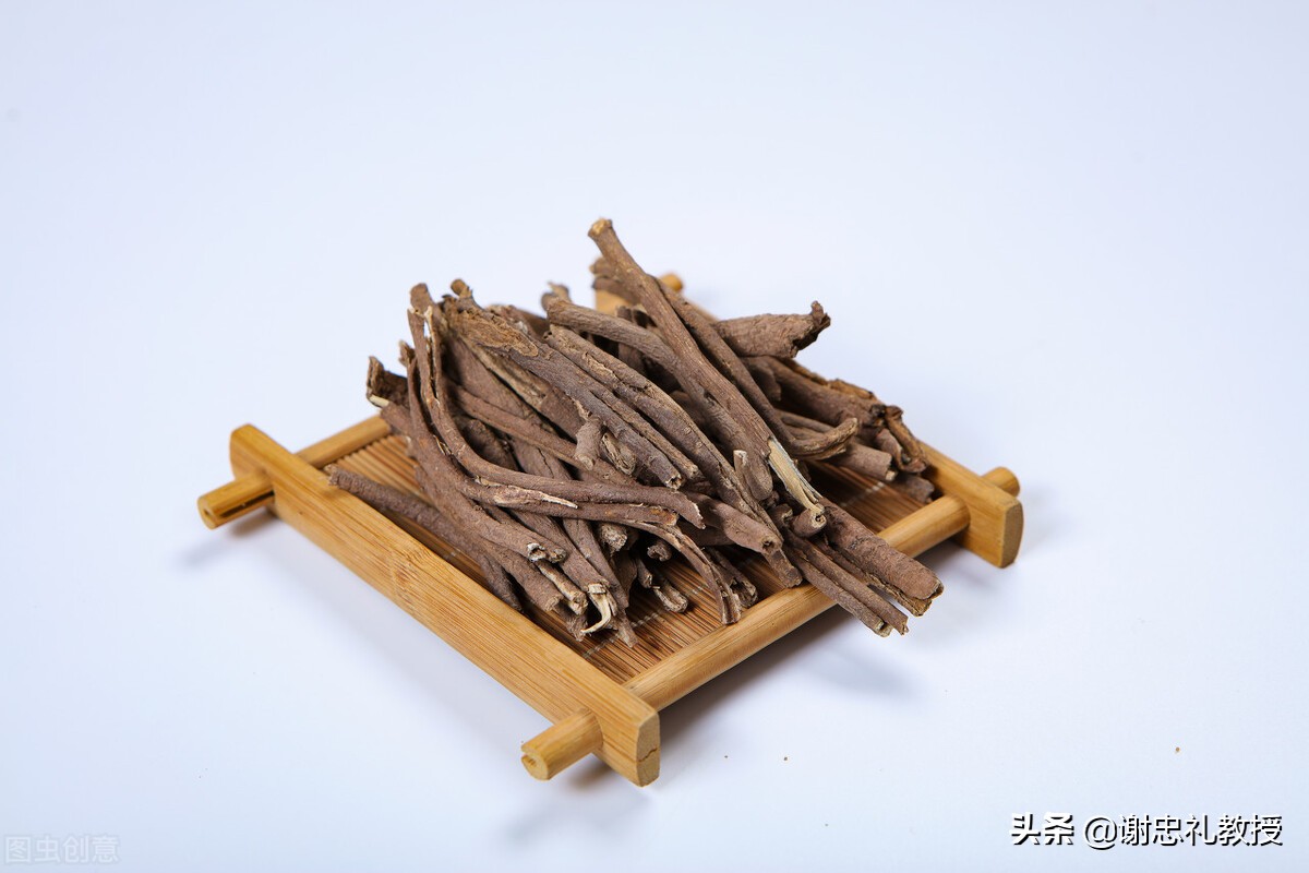 中药五加皮的作用和功效,中药五加皮别名与作用