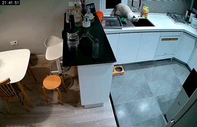 打造人宠共乐的家—“铲S官”的装修笔记