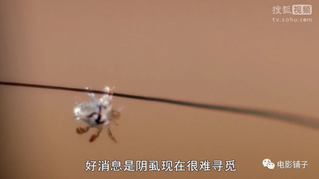 主持人用生命拍片系列，大写的牛掰