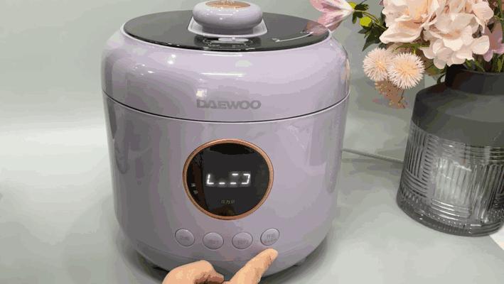 大宇电压力锅焖饭使用过程 (大宇电炖锅焖饭)