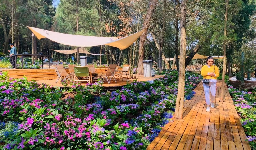 唐顿庄园日常生活,唐顿庄园奢侈生活